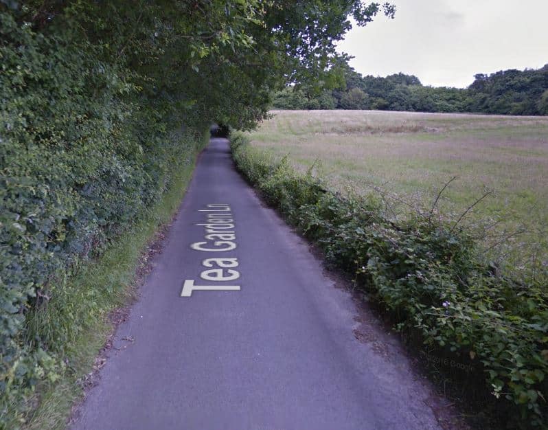 Man exposes himself to dog walker near Rusthall